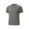 Remera Peñarol Puma Evostripe 05