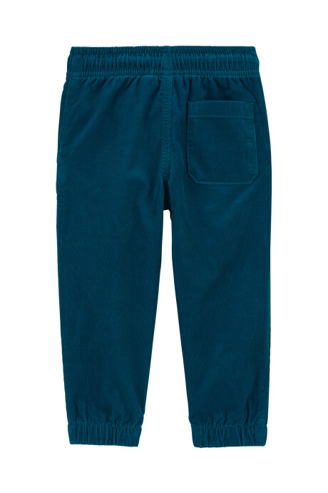 Pantalón de pana, clásico, turquesa Sin color