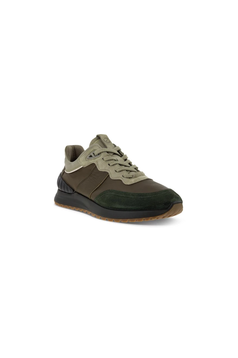 Astir Multicolor Green 