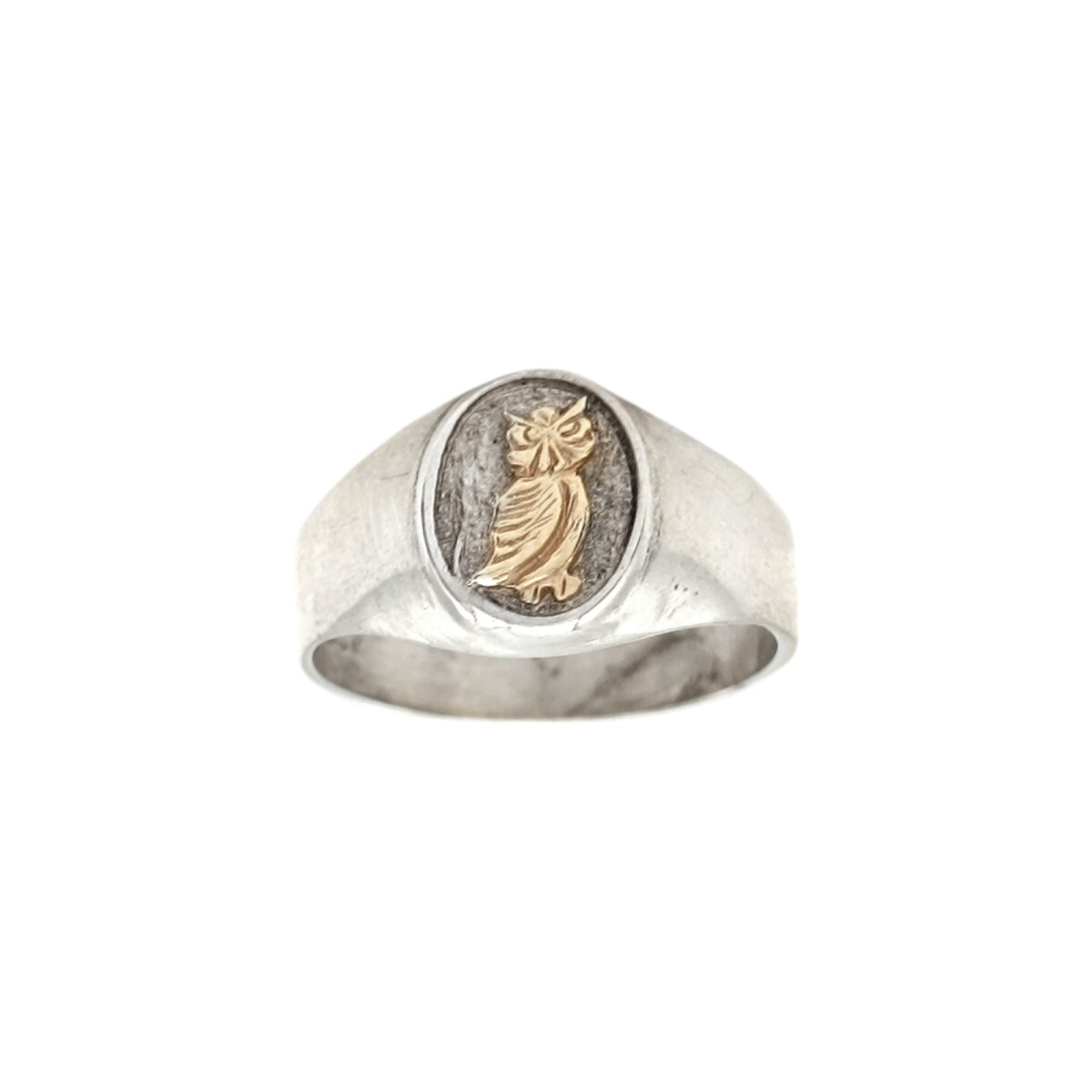 Anillo Profesión Profesor - Plata y Oro-Sin Piedra-AP5042 - ap5042 