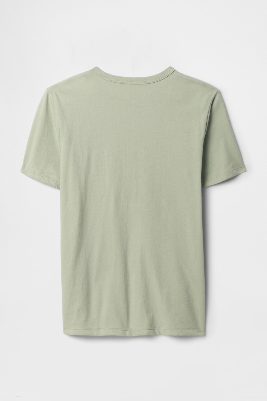 Remera Gráfico Niño Desert Sage