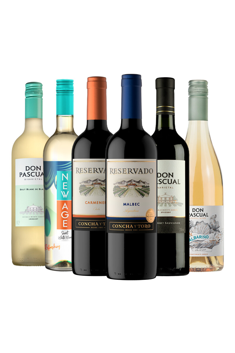 Pack Bacán Selección Bacanazo Fin de Año x6 vinos esenciales 