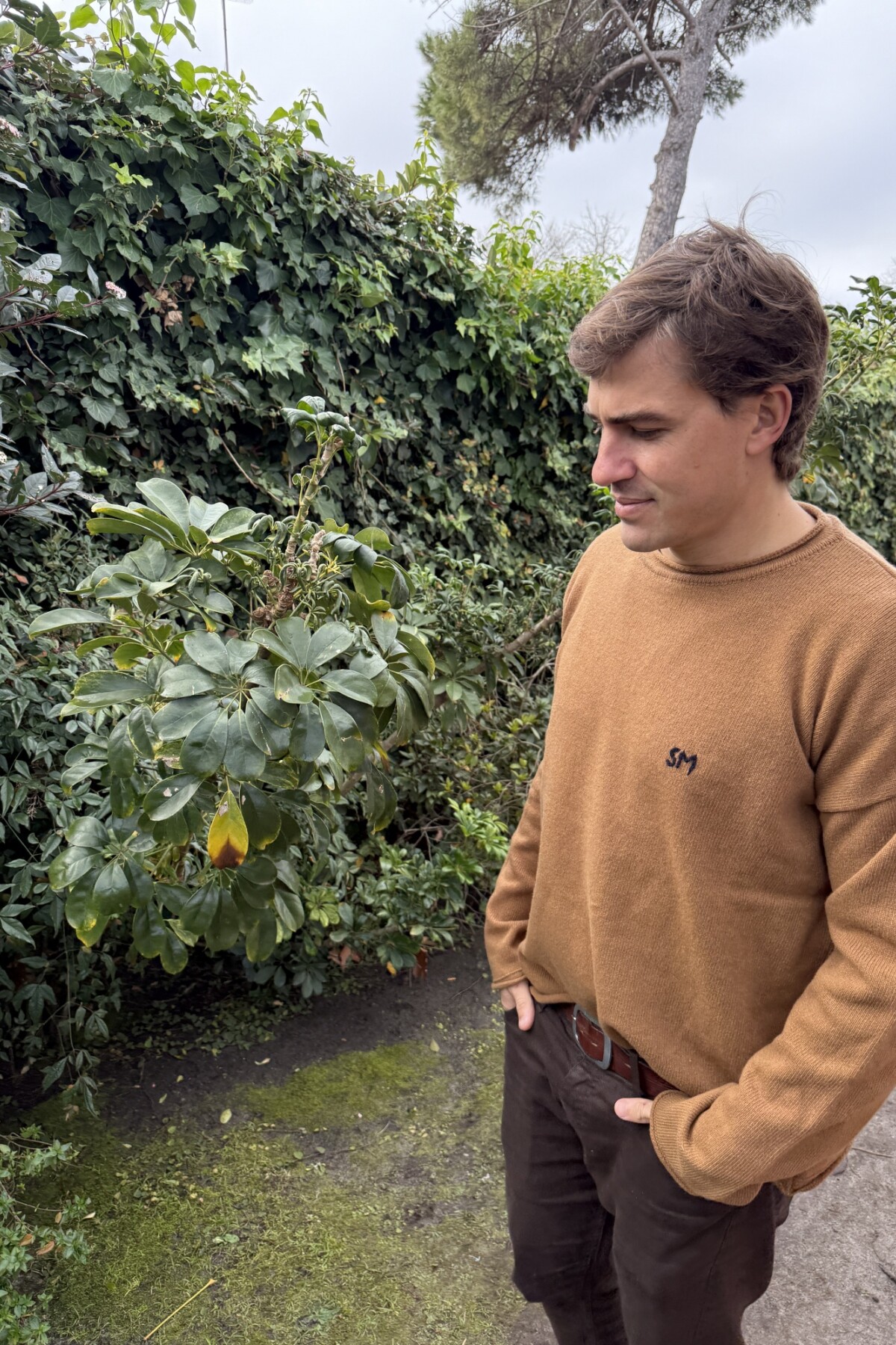 Wool Sweater Men Camel