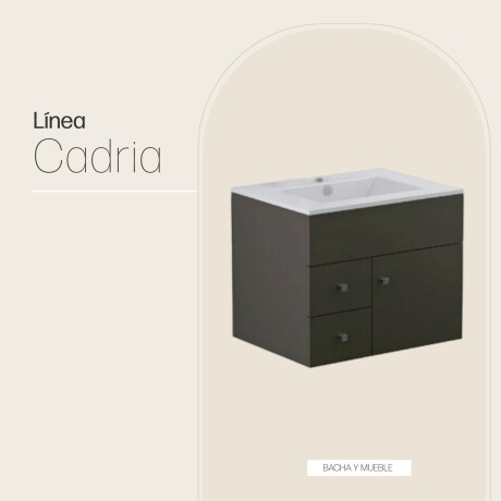 MOBILIARIO BAÑO BACHA MUEBLE DE COLGAR LOZA GAMAS DE MARRON GAMAS DE MARRON