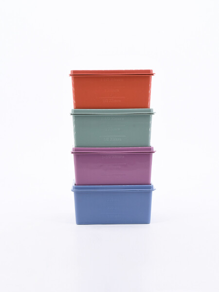 CONTENEDOR SET 4 PCS MULTICOLOR