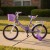 Bicicleta infantil Shengdi Rodado 16 Canasto Parrilla Hadas Violeta 1