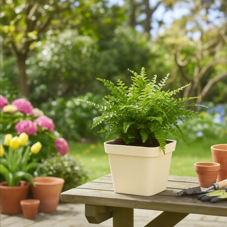 Maceta cuadrada 1,9 lts ARENA