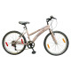 Bicicleta Baccio Alpina Lady Rodado 24 Montaña Con 6 Cambios Shimano ROSA/BORDO