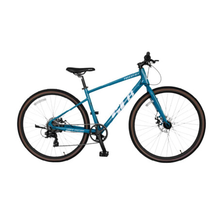 Bicicleta SLB Freespirit rodado 700x38 Azul Talle L