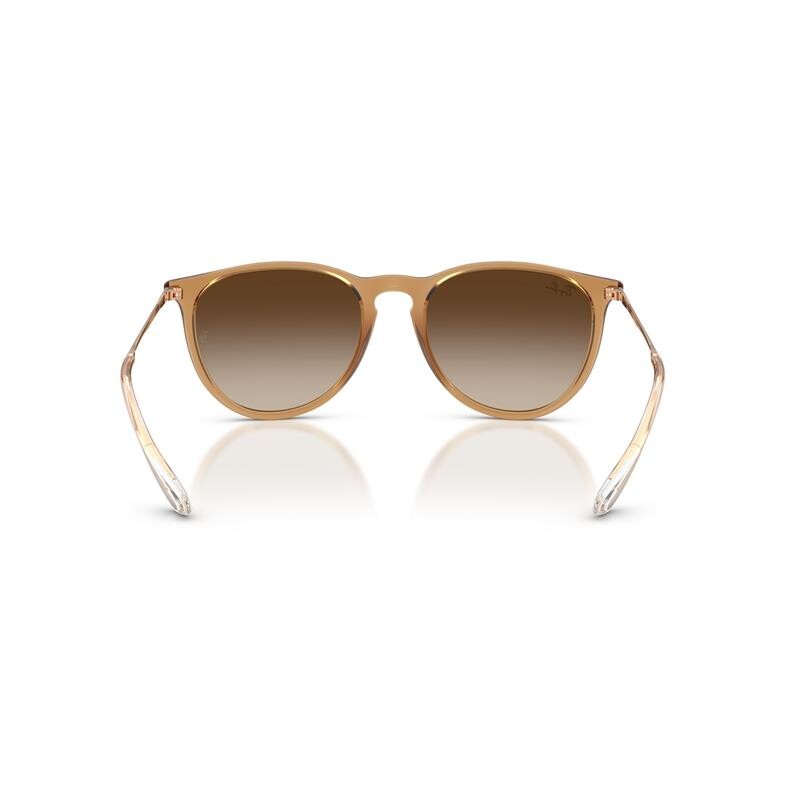 Ray Ban Rb4171 Erika 6814/13