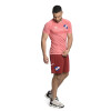 Remera Ion Umbro SS22 Nacional Oficial Hombre 4m9