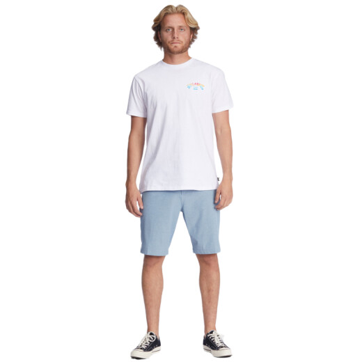 Boardshort Volcom Frickin Snt Static Boardshort Volcom Frickin Snt Static
