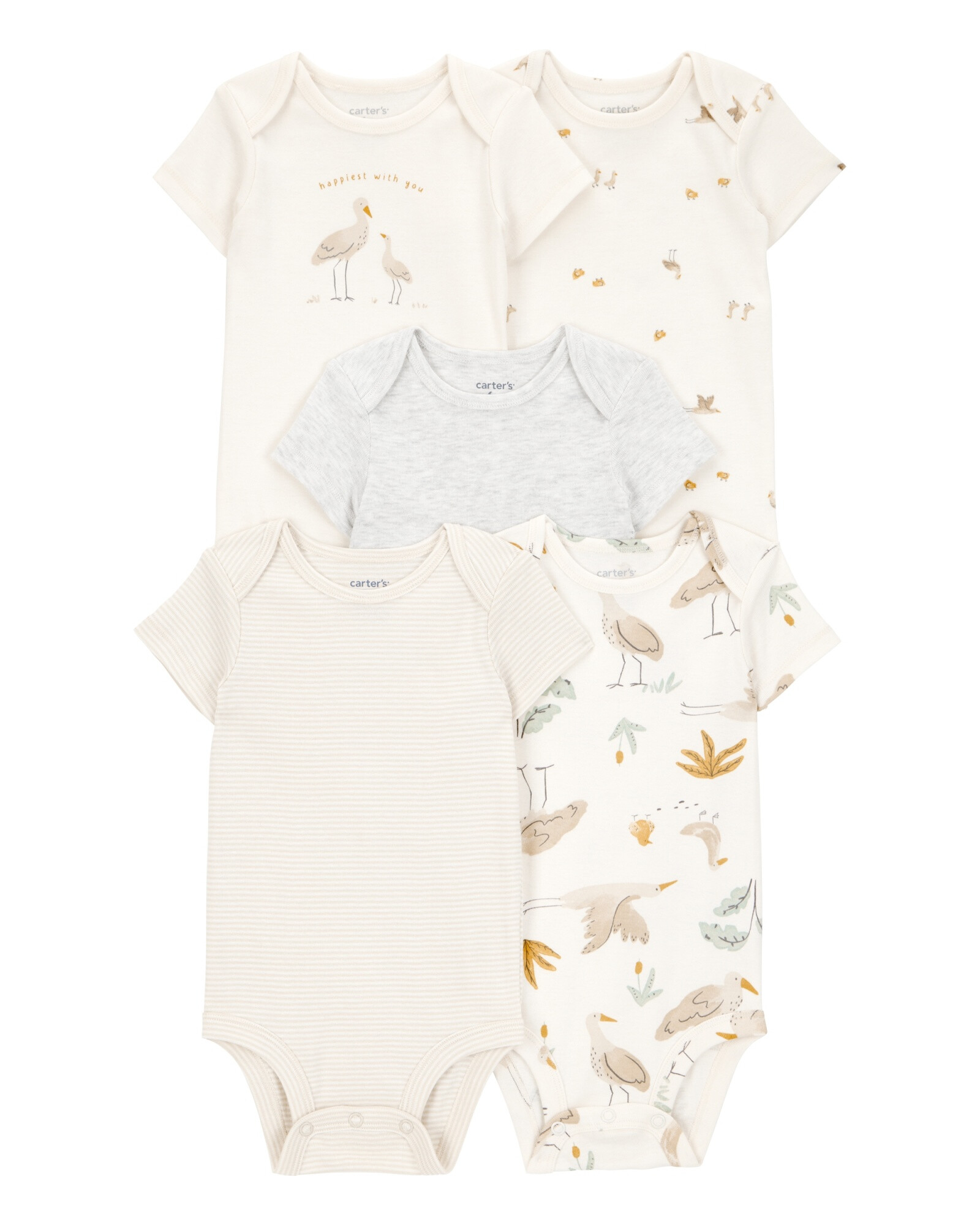 Pack cinco bodies de algodón, manga corta, diseño aves Pack cinco bodies de algodón, manga corta, diseño aves
