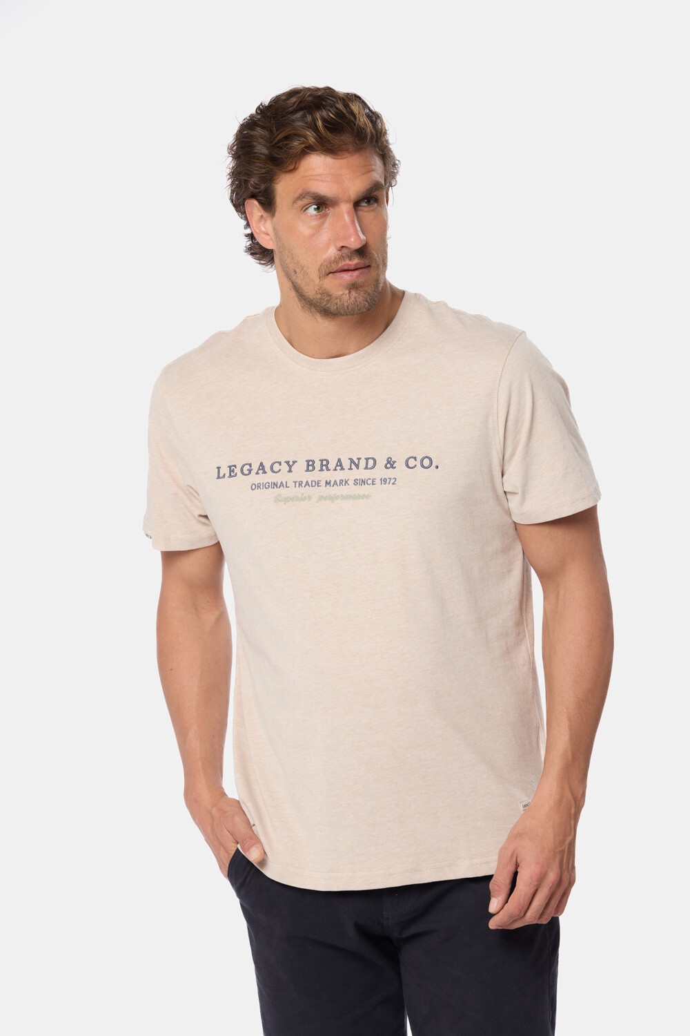 REMERA ESTAMPADA Beige