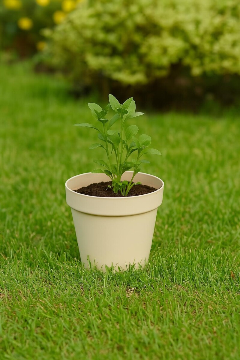 MACETA REDONDA FLORATTA 3 LITROS BEIGE REF 8500ARE - GRIS 