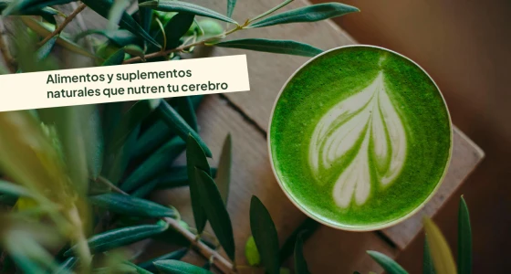 Alimentos y suplementos naturales para la concentración y la memoria