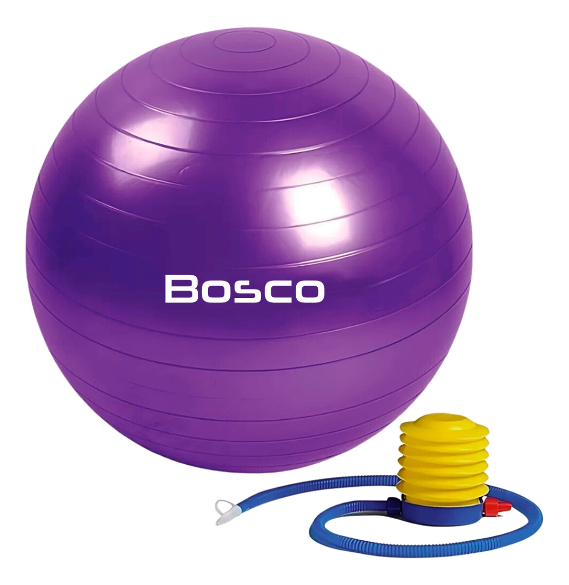 Pelota 65 Cm Pilates Yoga Bosco Gimnasia + Inflador De Pie - Violeta 