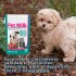 PET MILK SUSTITUTO LECHE MATERNA DE 100 GRAMOS PET MILK SUSTITUTO LECHE MATERNA DE 100 GRAMOS