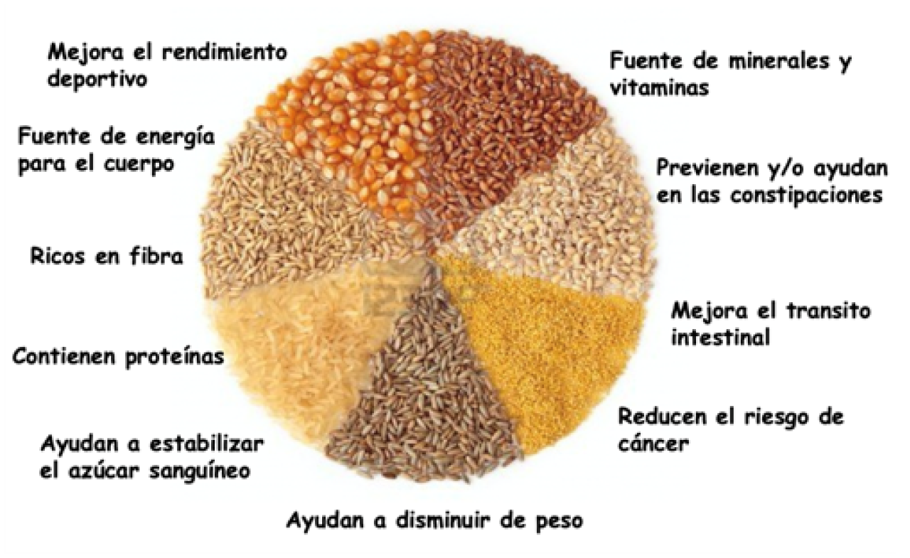 La importancia de consumir cereales integrales – Gimnasio Energy Albacete