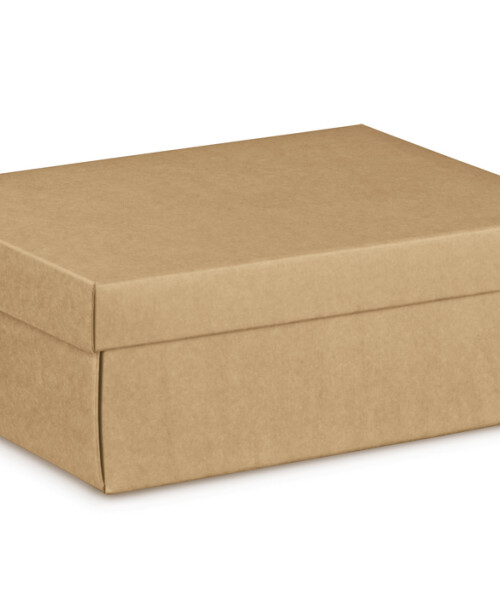 Caja + tapa easy 45,5x32x15 - 35836 - AVANA Caja + tapa easy 45,5x32x15 - 35836 - AVANA