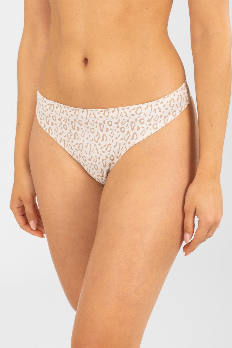 Colaless senecio - Marfil 