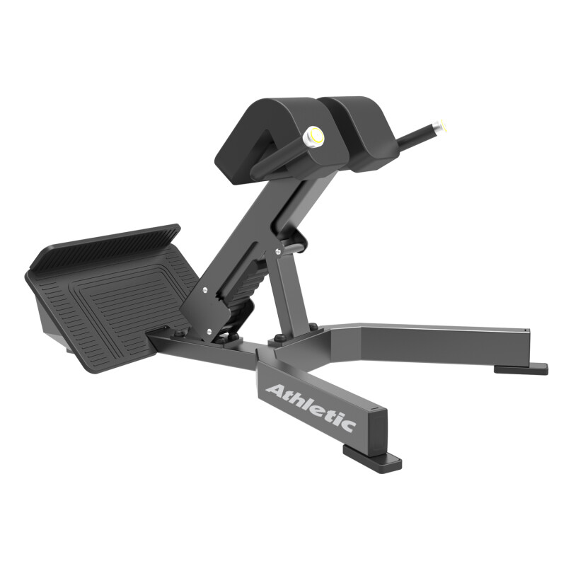 Back Extension Performance Gris