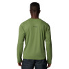Remera Summit Valley Hombre CANTEEN