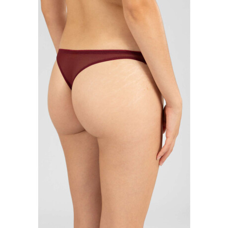 Colaless tira frida Bordeaux