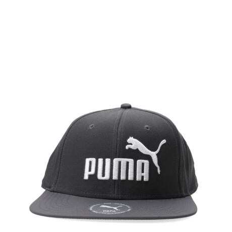 Gorra Puma Logo Flat Brim Gris
