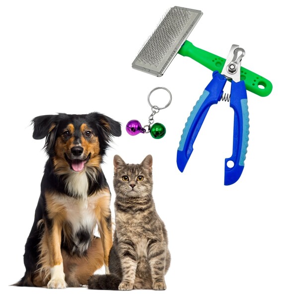 Kit Corta Uñas + Cepillo + Cascabel Mascota Perro Gato Variante Color Azul/Verde