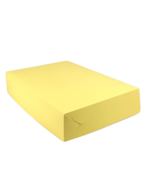 Caja para masa 1kg 22x30x6 cm AMARILLO