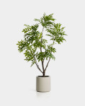 Árbol artificial Rhus con maceta blanca 185 cm Árbol artificial Rhus con maceta blanca 185 cm