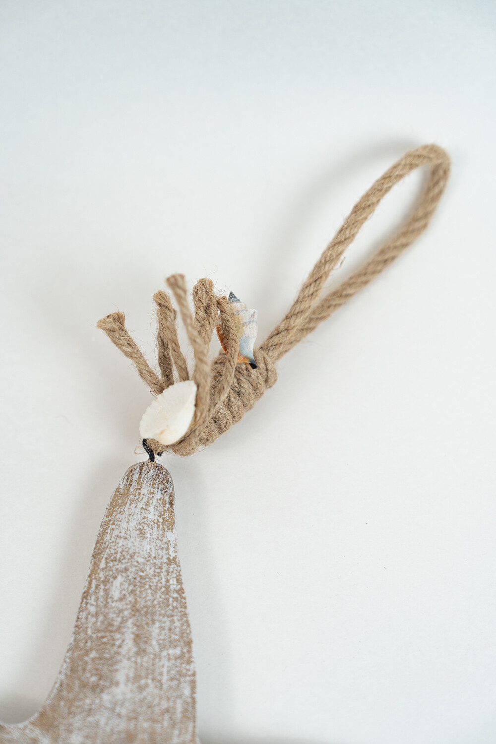 Adorno Estrella De Mar Color Unico