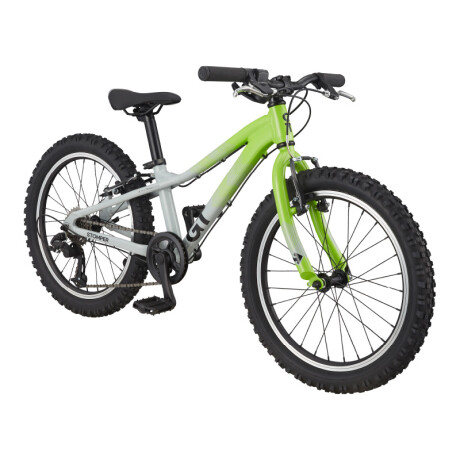 Bicicleta Montaña GT STOMPER HT PRIME 20 Gris y Verde