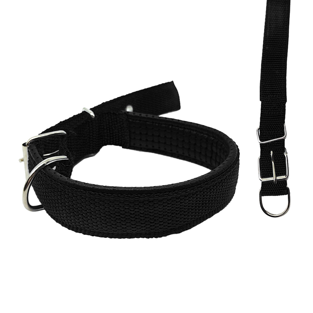 Collar 2.5 Cm Perros Acolchado Cómodo y práctico Color negro