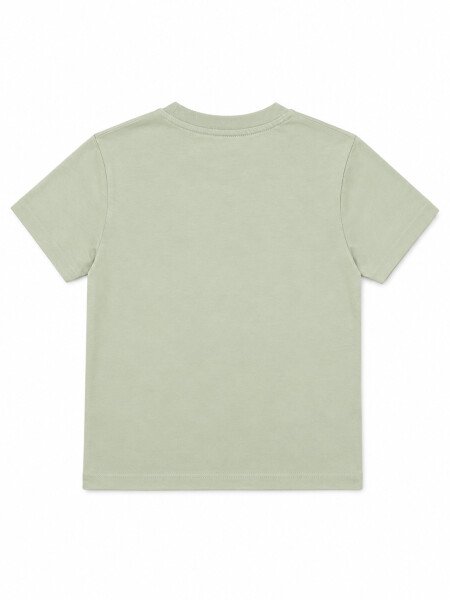 REMERA IÑAQUI GARDEN VERDE GRISACEO