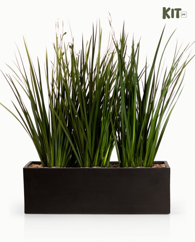 KIT Jardinera "Negro mate" 1m* 30cm* 30cm* con Dietes, Sustratos y cubresuelo