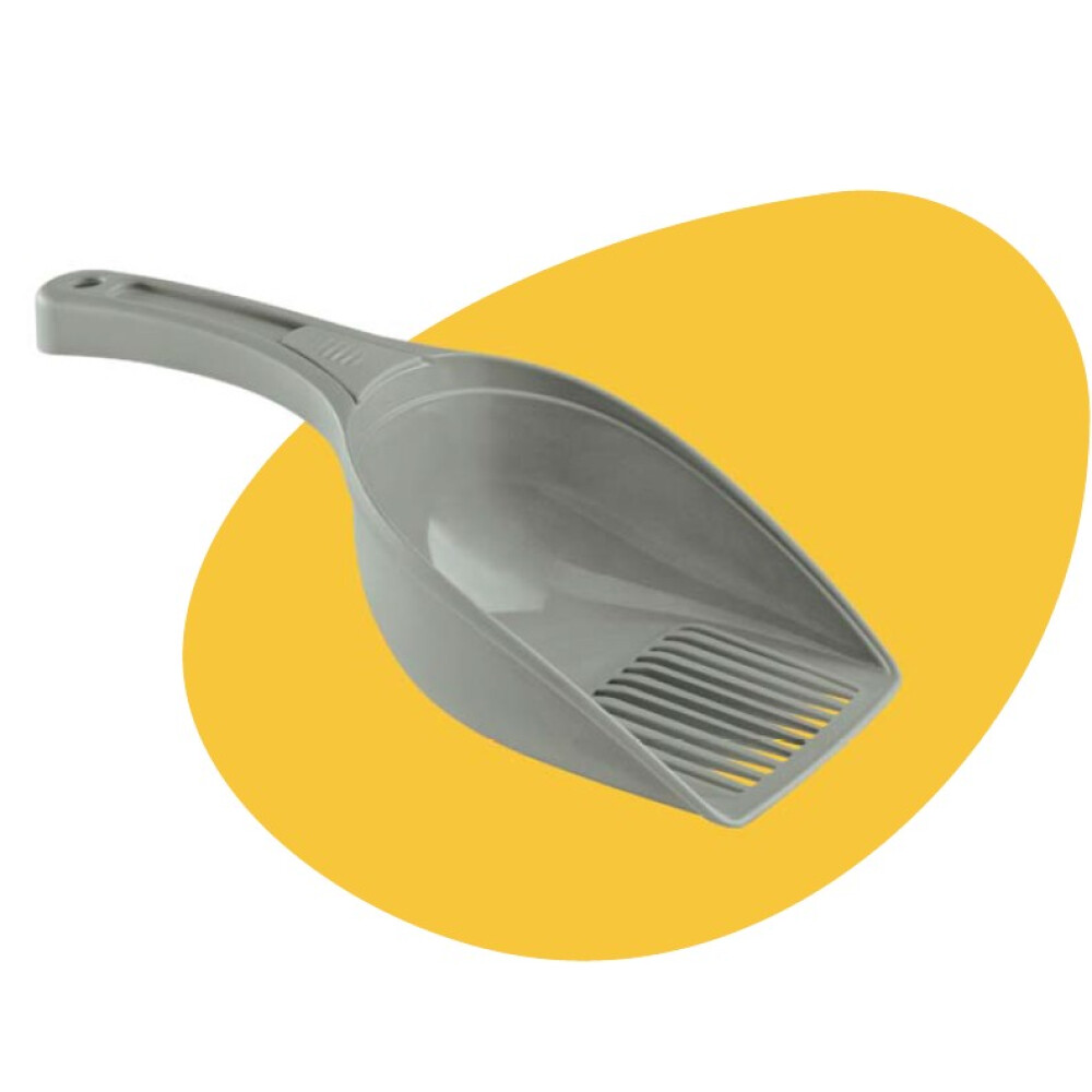 PALA UNIVERSAL SINGLE "GREEN LINE" FOGGY GREEN PALA UNIVERSAL SINGLE "GREEN LINE" FOGGY GREEN