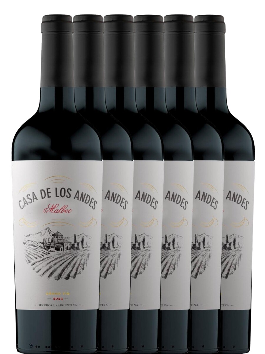 Promo 5+1 Casa de los Andes Malbec 