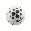 Pelota Nike Pitch - White White