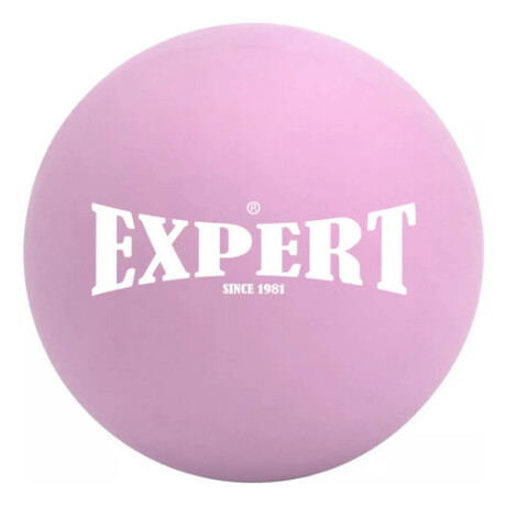 Bocha De Hockey Expert Para Entrenar Goma Gruesa Hky001001-rs