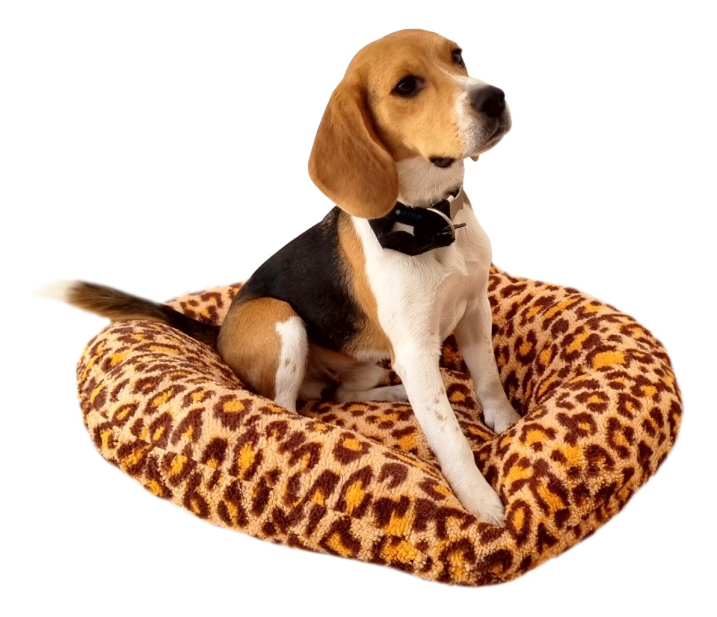Cama Para Perro Gato Cuna Puff Peluda Cucha 50 Cm Mascota Polar - Variante Diseño Animal Print 
