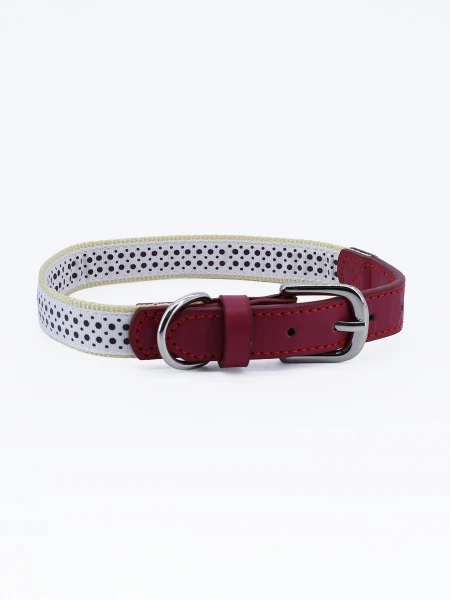 COLLAR LUXURY GRIS