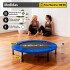 Mini Trampolin Plegable Cama Elástica Saltarín Fitness 102 Cm IMBACK Color Azul Mini Trampolin Plegable Cama Elástica Saltarín Fitness 102 Cm IMBACK Color Azul