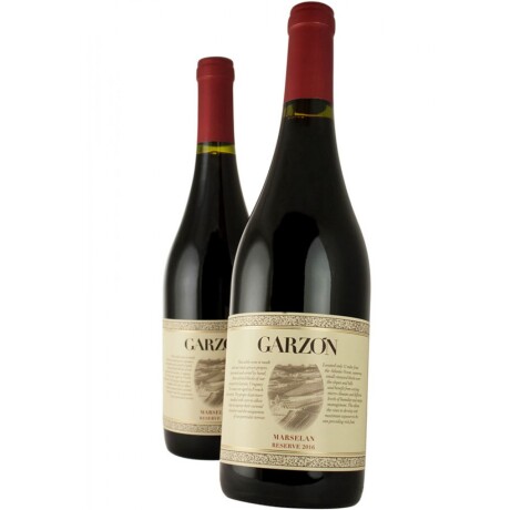 Garzón Reserva Marselan Garzón Reserva Marselan