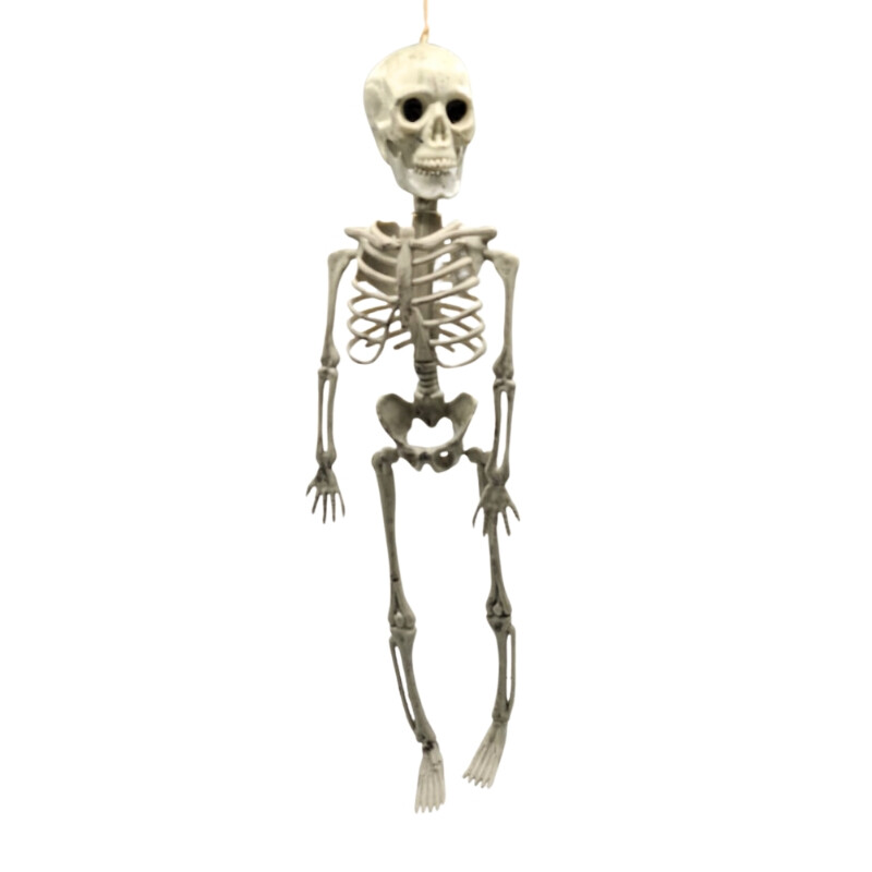 Esqueleto de Halloween Esqueleto de Halloween