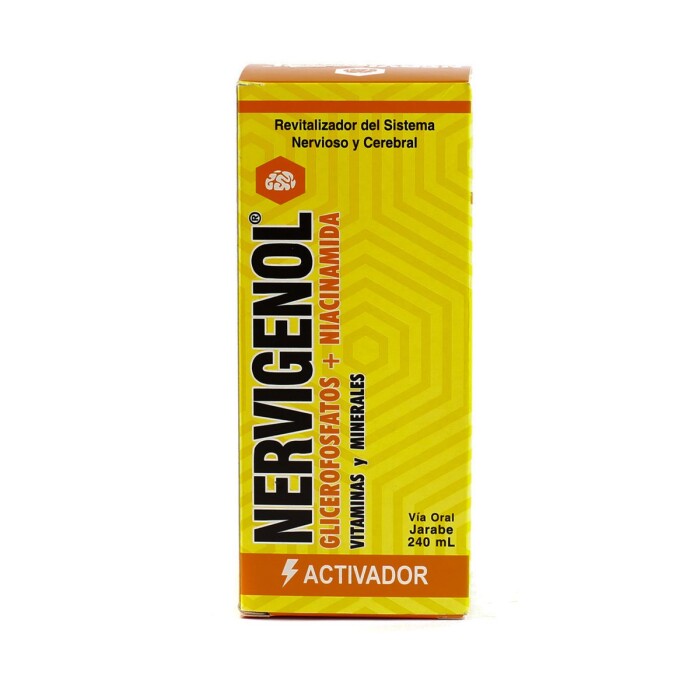NERVIGENOL JBE. FR. X 240 ML. única