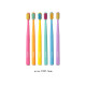 Cepillo dental 6pcs colores Cepillo dental 6pcs colores