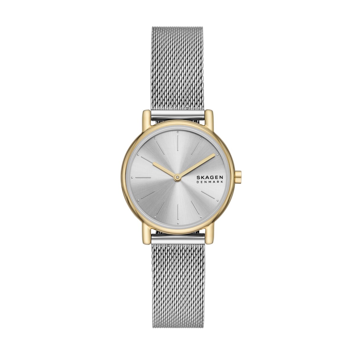Reloj Skagen Clasico Acero Inoxidable Plata 