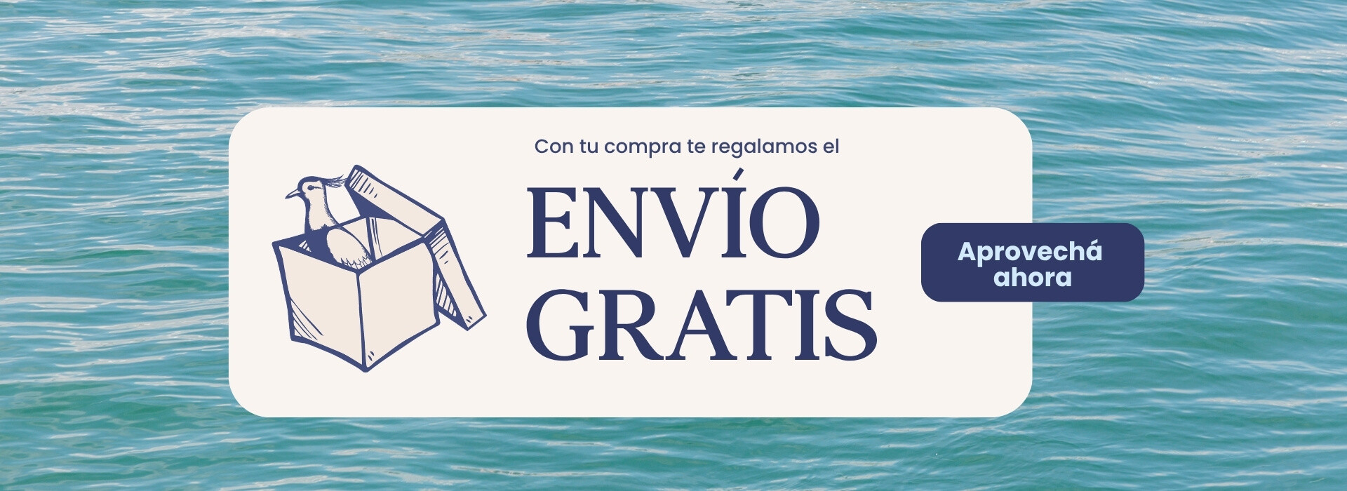 Envio gratias SS27